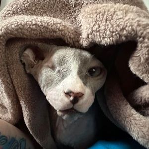 Meet your Posher, Brenda